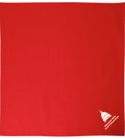 Capital YIG Blanket - Gildan 12900