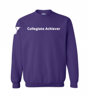 Collegiate Achiever Crewneck - 18000
