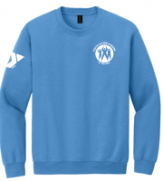 Youth Action Hudson Volunteer CREWNECK - Adult Gildan 18000