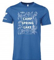 Camp Spring Lake Leaves Follow This Leader