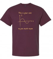 This is Your Sine Maroon Tee
