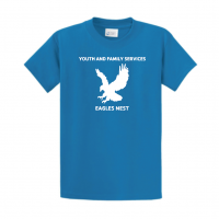 Youth Family Services Eagles Nest - PC61 Sapphire