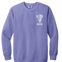 Spring Lake Bison - Adult Comfort Colors 1566