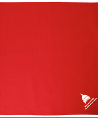 Capital YIG Blanket - Gildan 12900